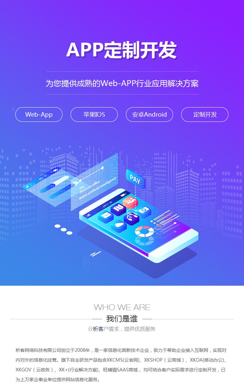 软件定制开发费用中的增值税税率:解读与解析